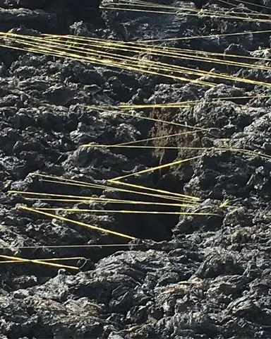 Dorothea Walter Performing Art Retreats